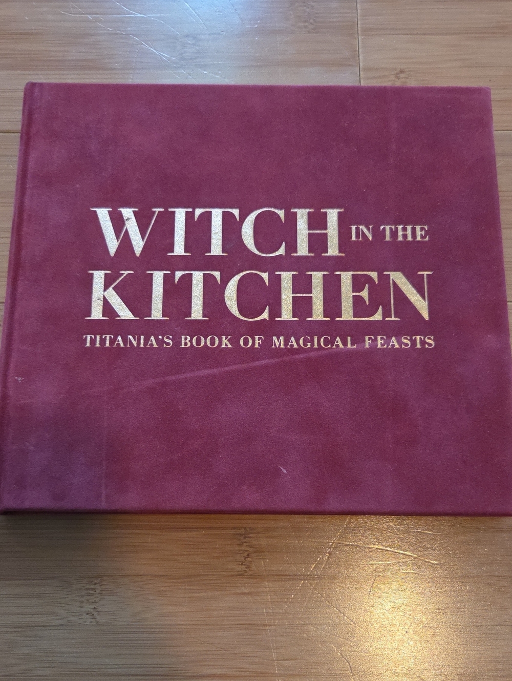 Witch in the Kitchen Cookbook - Maroon Cover